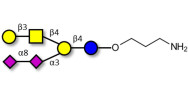 GD1b Ganglioside...