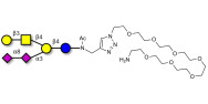 GD1b Ganglioside...