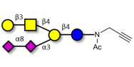 GD1b Ganglioside...