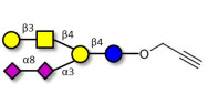 GD1b Ganglioside...