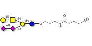 GD1b Ganglioside...