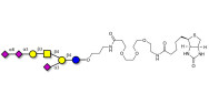 GT1a Ganglioside...