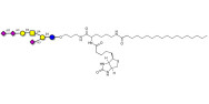 GT1a Ganglioside...