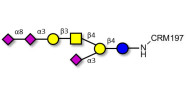 GT1a Ganglioside...