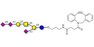 GT1a Ganglioside...