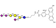 GT1a Ganglioside...