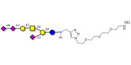 GT1a Ganglioside...