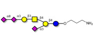 GT1a Ganglioside...