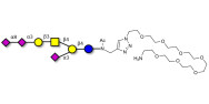 GT1a Ganglioside...