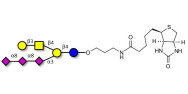 GT1c Ganglioside...