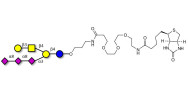 GT1c Ganglioside...