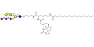 GT1c Ganglioside...