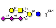 GT1c Ganglioside...