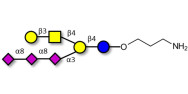 GT1c Ganglioside...