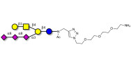 GT1c Ganglioside...