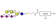 GT1c Ganglioside...