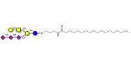 GT1c Ganglioside...