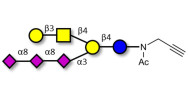 GT1c Ganglioside...