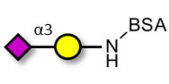 GM4 Ganglioside...