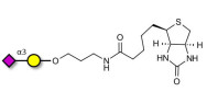 GM4 Ganglioside...