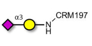 GM4 Ganglioside...