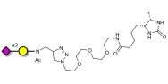 GM4 Ganglioside...