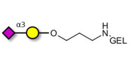 GM4 Ganglioside...