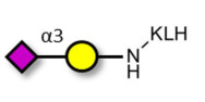 GM4 Ganglioside...