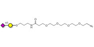 GM4 Ganglioside...