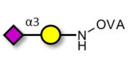 GM4 Ganglioside...