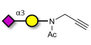 GM4 Ganglioside...