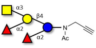 Fucosyl A antigen pentaose...