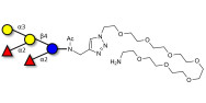 Fucosyl B antigen pentaose...