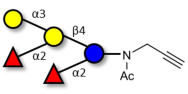 Fucosyl B antigen pentaose...