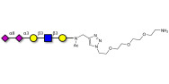 Disialylated pentaose type...