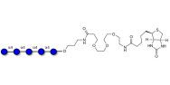 Maltopentaose DP5 linked to...