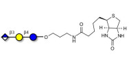 Glucuronyl-lactose linked...