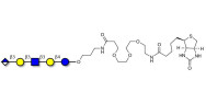 Glucuronyl-Lacto-N-tetraose...