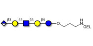 Glucuronyl-Lacto-N-tetraose...