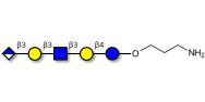 Glucuronyl-Lacto-N-tetraose...