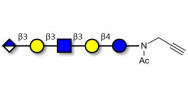 Glucuronyl-Lacto-N-tetraose...