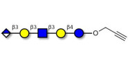 Glucuronyl-Lacto-N-tetraose...