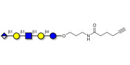 Glucuronyl-Lacto-N-tetraose...