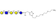 Globopentaose (Gb5)...