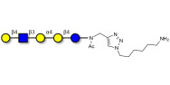 Globopentaose (Gb5)...