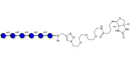 Maltohexaose DP6 linked to...