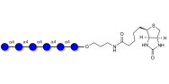 Maltohexaose DP6 linked to...