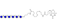 Maltohexaose DP6 linked to...