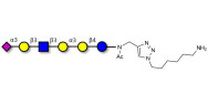 Sialylated isoglobopentaose...