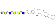 Sialylated isoglobopentaose...